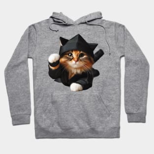 Purrfectly Stealthy Ninja Cat Hoodie